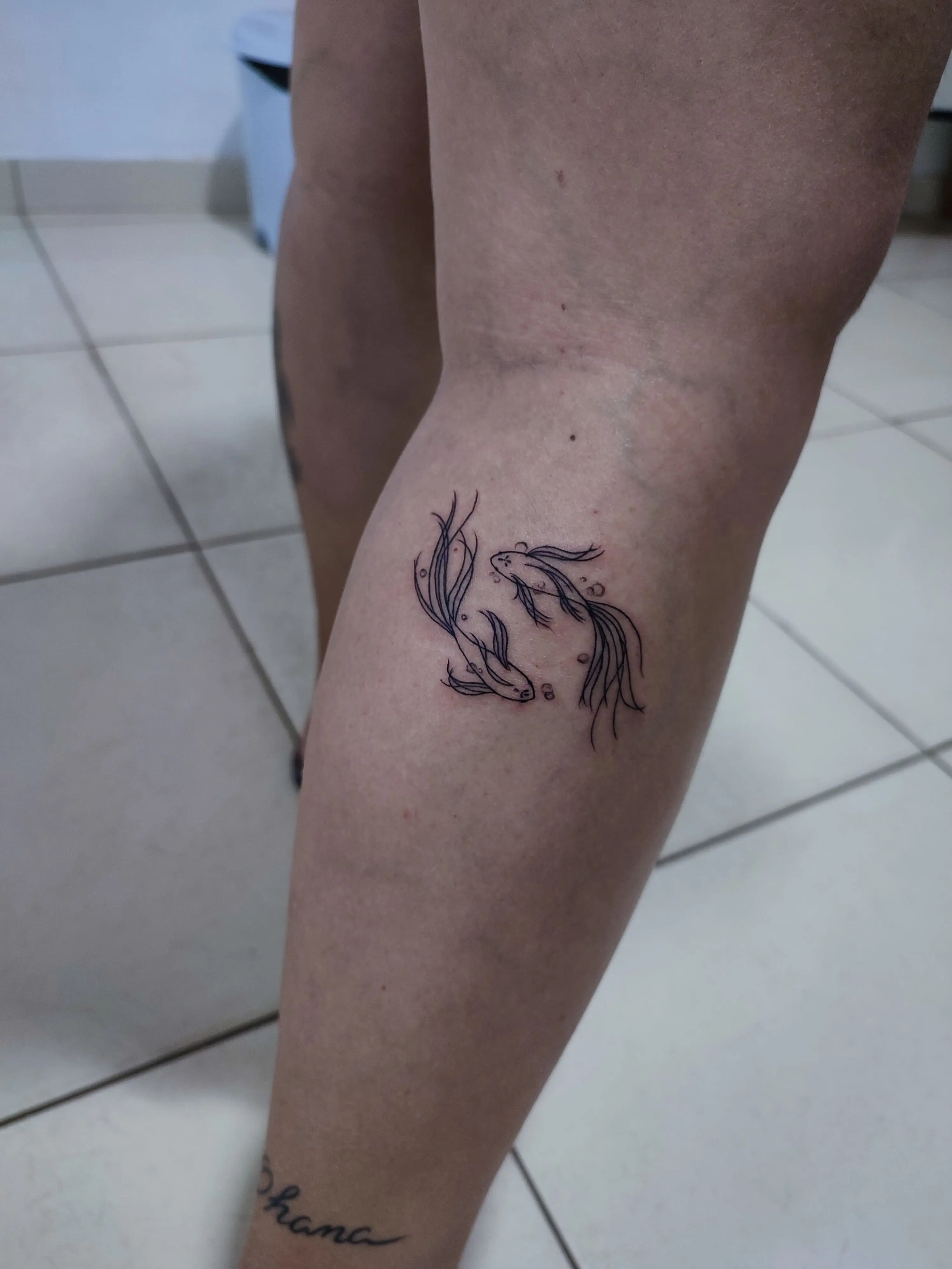 Tatuagem duas carpas, com referencial ao ing