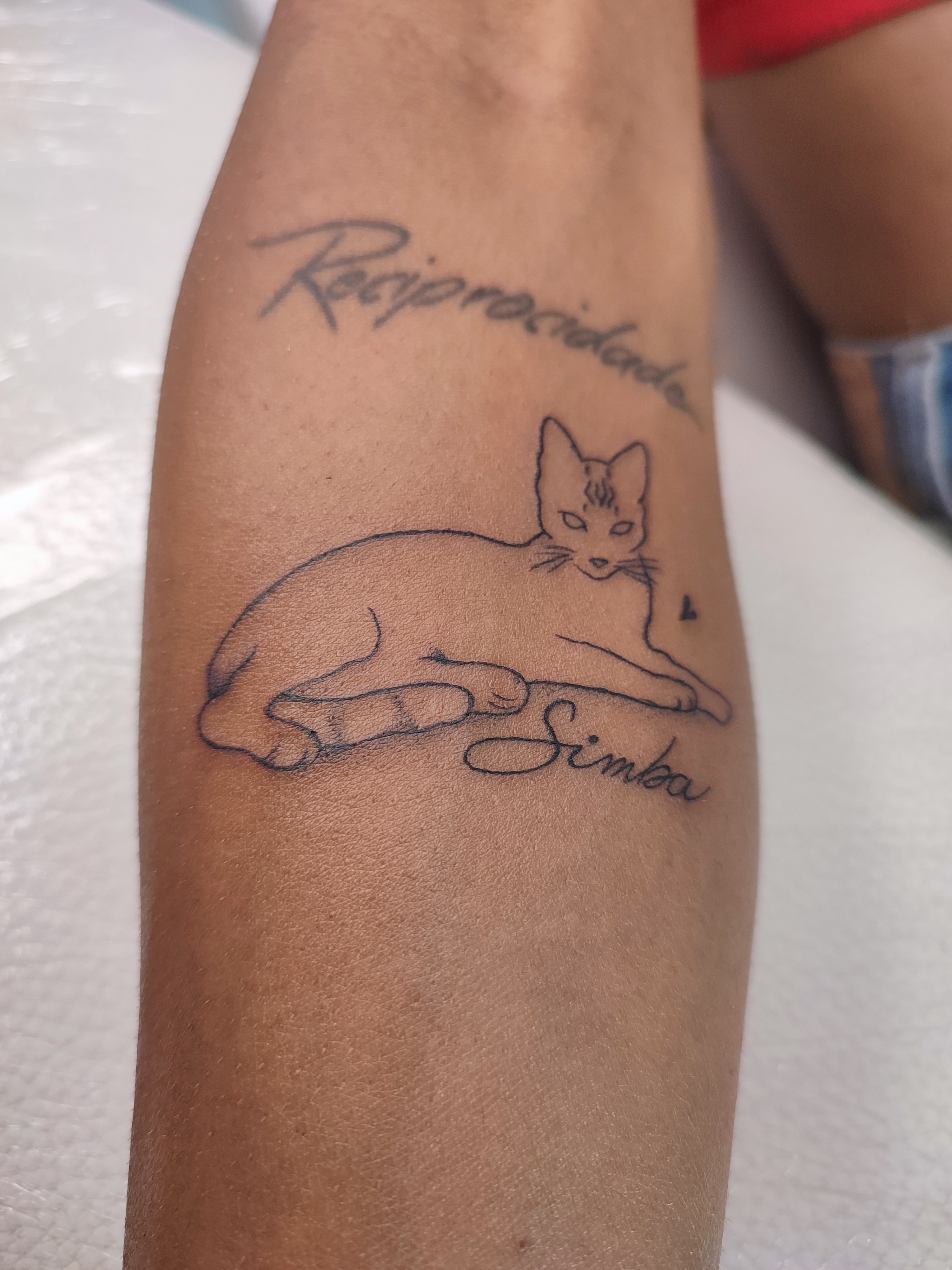 Tatuagem minimalista um gato